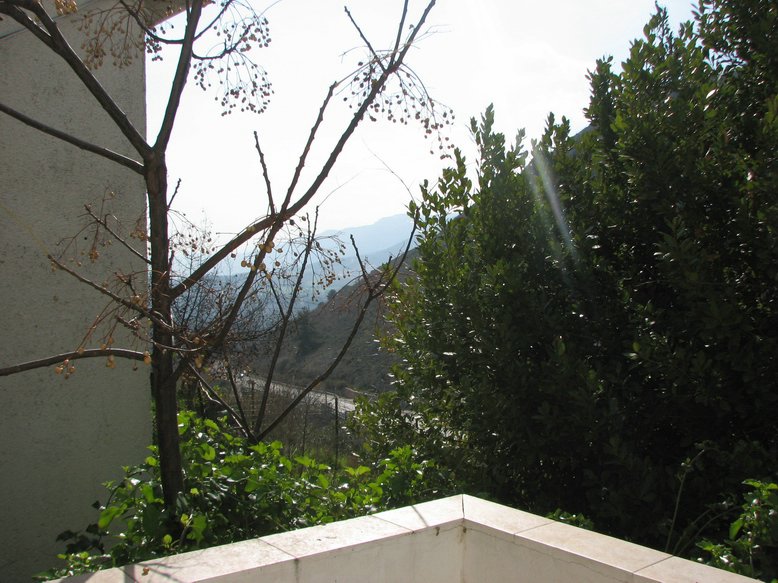 IMG_6644_resize.JPG