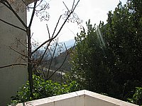 IMG_6644_resize.JPG