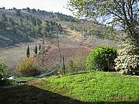 IMG_6649_resize.JPG