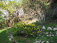 IMG_6650_resize.JPG